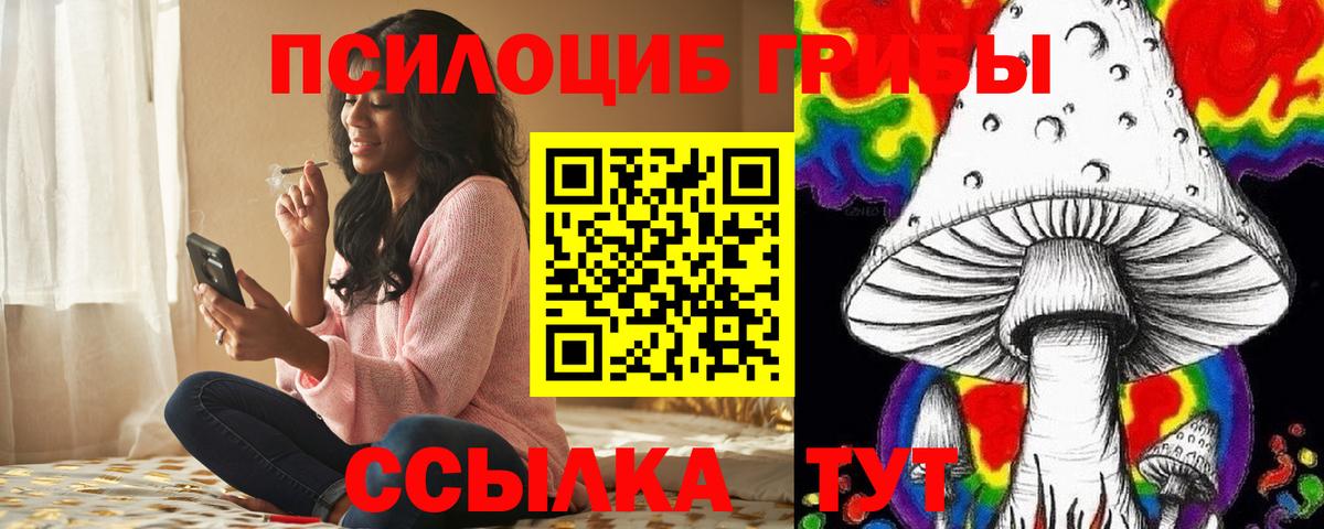 Северодвинск  как найти закладки  Вход с VPN  Галлюциногенные грибы Psilocybe 